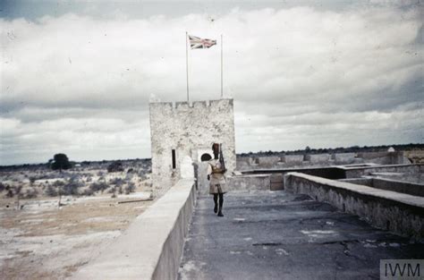 The Service Of Major William Wilkinson With The 7th Kings African