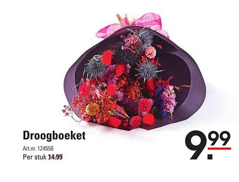 Droogboeket Aanbieding Bij Sligro Folders Nl