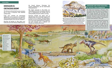 Fossils And The Flood Is Genesis History