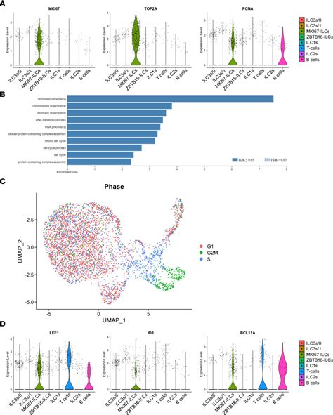 Frontiers A Single Cell Map Of Vascular And Tissue Lymphocytes