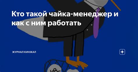 Кто такой чайка-менеджер и как с ним работать | Журнал Кинжал | Дзен