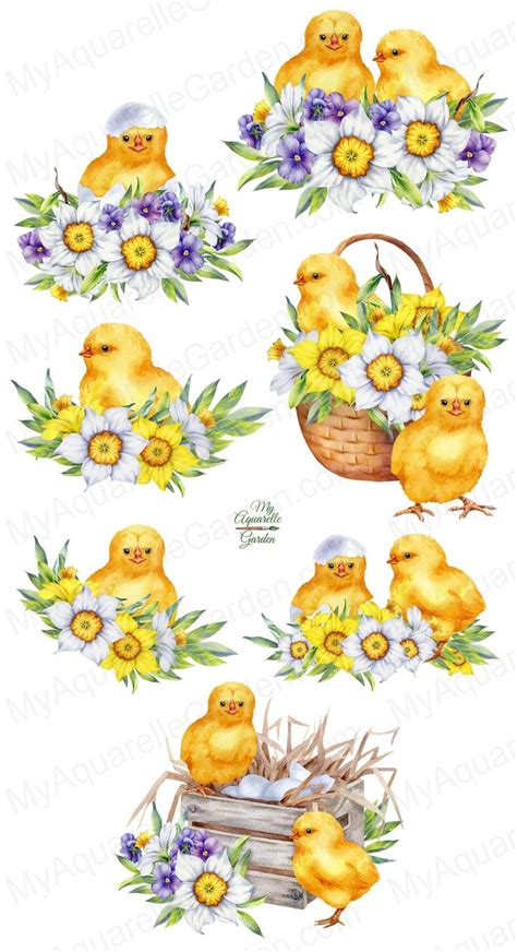 Spring Chickens And Flowers Easter Watercolor Clipart Cute Birds