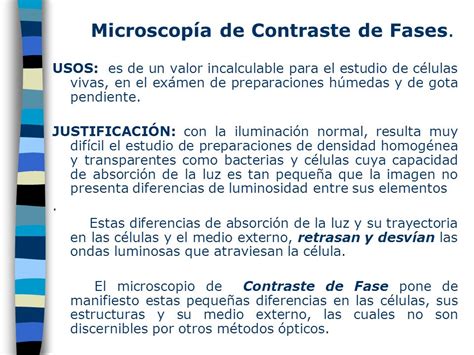 Eficacia Nacarado combinación microscopio de contraste de fases partes