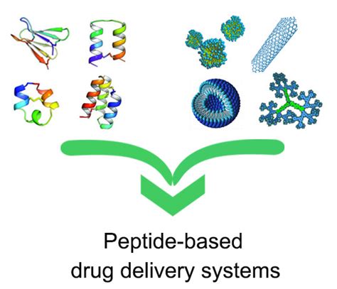 Molecules Free Full Text Peptide Based Drug Delivery Systems In