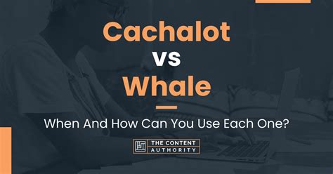 Cachalot vs Whale: When And How Can You Use Each One?