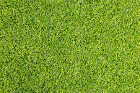 Green Grass Natural Background Texture Fresh Spring Green Grass