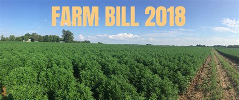 2018 Farm Bill and USDA Rules | Federal Hemp & CBD Law | Buscher Law LLC