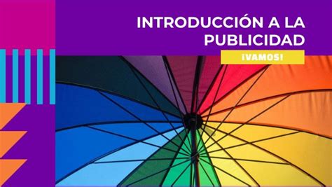 Introducci N A La Publicidad