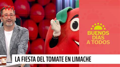 Hacemos La Previa De La Gran Fiesta Del Tomate En Limache Buenos