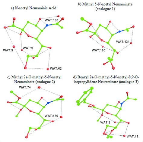 The 3D Structure Of Neuraminic Acid Analogues In Global Minimum Energy