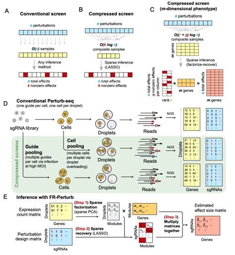 Perturb Seq