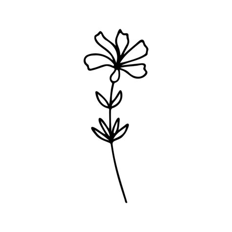 Hand Drawn Herbal Floral Clipart One Line Doodle Vector 20426319