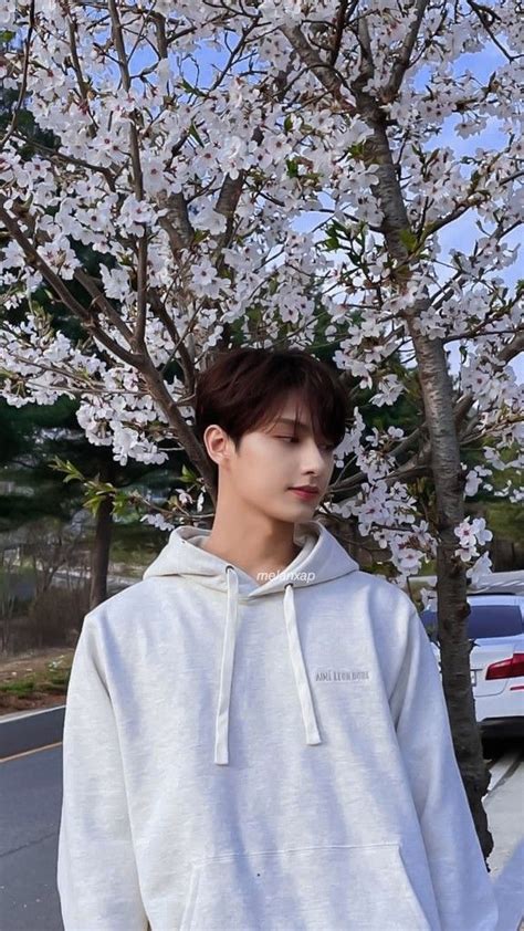 Wen Junhui Seventeen Seventeen Jun Seventeen Junhui