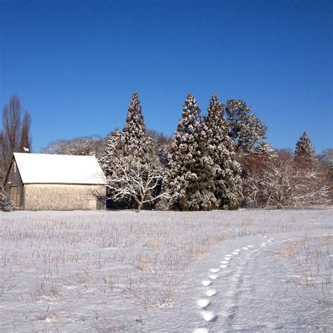 The Polly Hill Arboretum