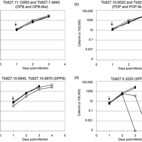 Effect Of Rnai On T Brucei Cell Growth In Vivo Icr Mice Were