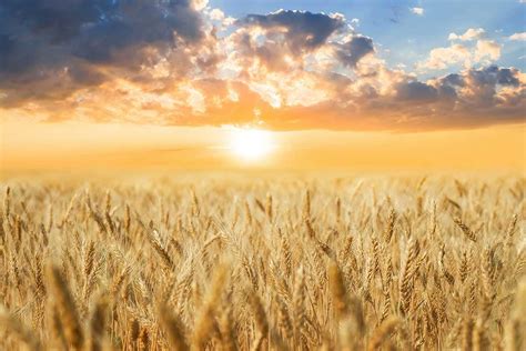 Italia Bollente Il Il Anno Pi Caldo Di Sempre Mai