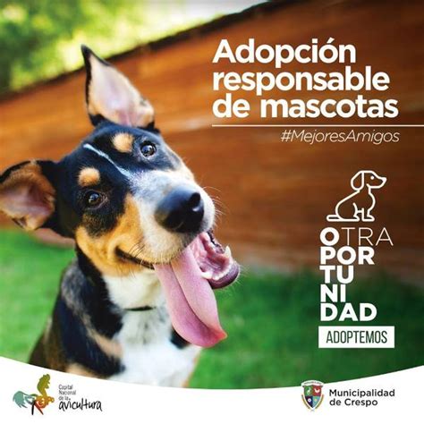 ADOPCIÓN DE MASCOTAS Municipalidad de la Ciudad de Crespo