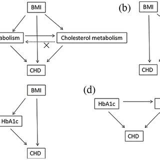 Causal Associations Between Genetically Determined BMI And HbA1c