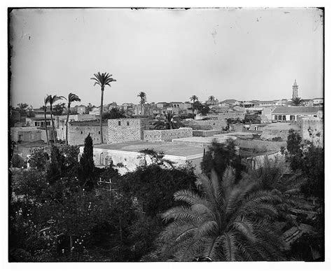 Como Era Gaza Antes Da Guerra - Fotos raras mostram Gaza antes da criação do Estado de Israel