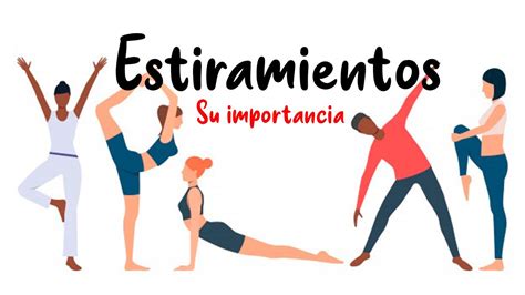 La Importancia De Los Estiramientos Musculares Youtube