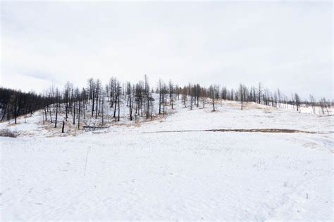 Bridger Canyon Land For Sale Bozeman Mt