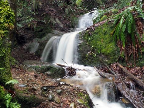 Interurban Trail — Washington Trails Association