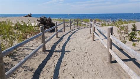 Hanlan S Point Nude Beach View On Toronto Islands Stock Photo Image Of Autumn Scenery