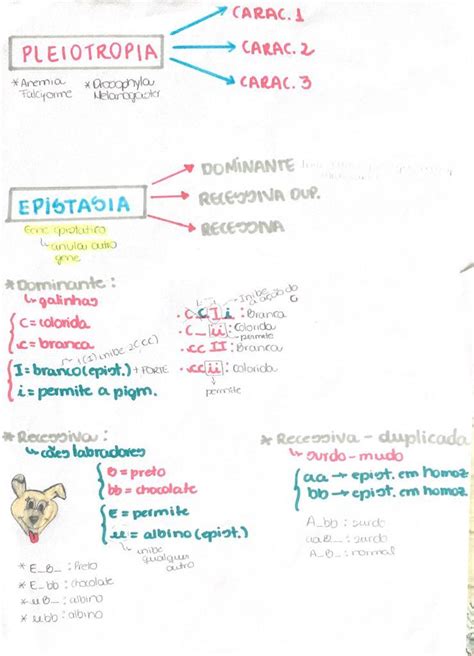 Pleiotropia