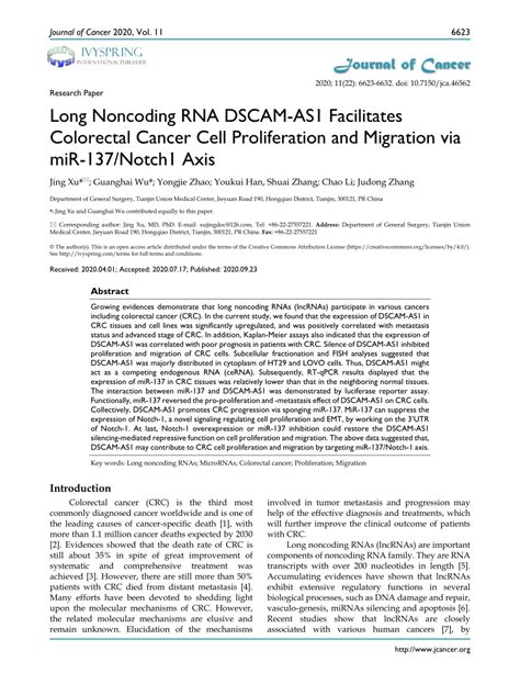 Pdf Long Noncoding Rna Dscam As Facilitates Colorectal Cancer Cell