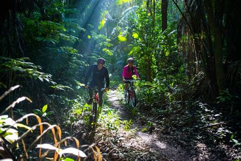 ¿qué Tal Un Paseo En Bicicleta En La Selva De Chetumal Bicicletas De