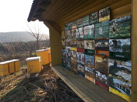 Trgovina S Sadjem In Zelenjavo Moja Storitev