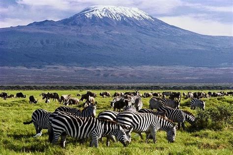 3 Days Amboseli Wildlife Safari | Amboseli National Park Tour