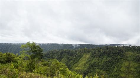 Mater Natura ganha Prêmio Expressão de Ecologia em recuperação de áreas