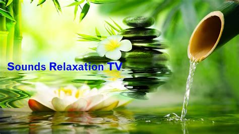 Relax 8 Hours Relaxing Nature Sounds Study Sleep Meditation Water