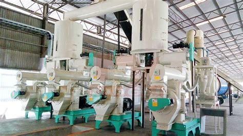 Wood Pellet Mill Zhengzhou Dingli New Energy Equipment Co Ltd