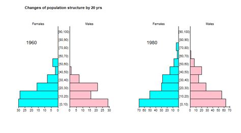 How To Make Population Pyramid