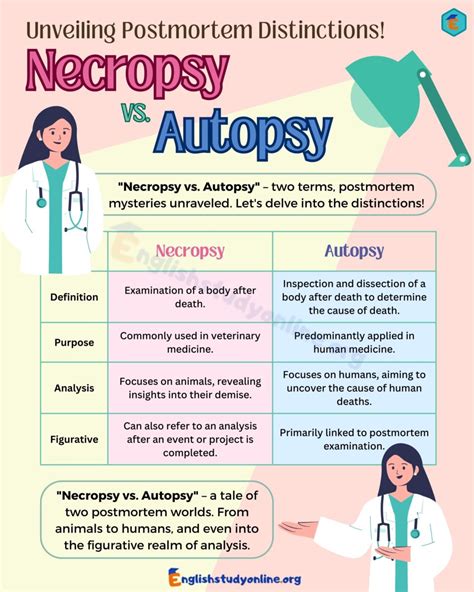 Necropsy vs. Autopsy: Understanding the Differences - English Study Online