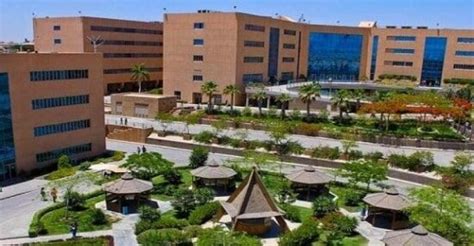 ترتيب الجامعات الخاصة في مصر 2023 المعترف بها عالميًا دليل الدراسة