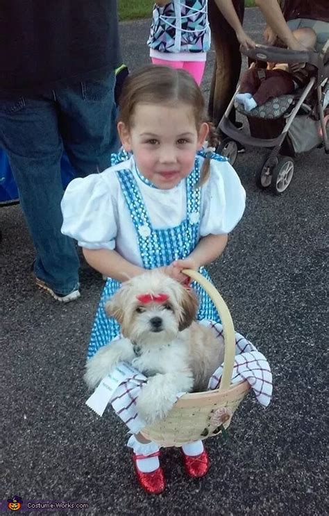 Wizard of Oz Dorothy and Toto Costume