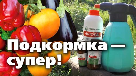 Удобрения по последнему слову науки. Эффективное, удобное, быстро ...