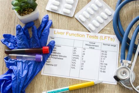 Understanding Alt Blood Tests And Their Results Facty Health