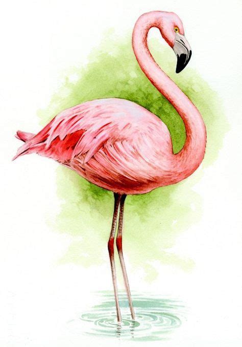 Flamant Rose Dessin Flamingo Illustration Flamingo Art Flamingo