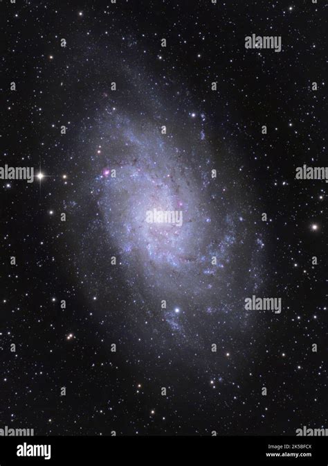 The Triangulum Galaxy Ngc In The Constellation Triangulum