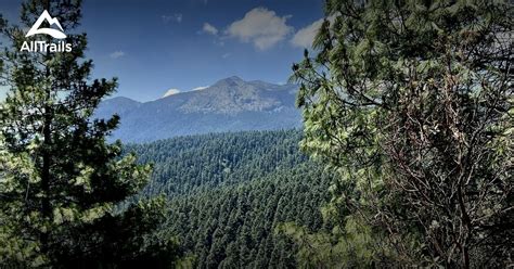 Best Forest Trails In Parque Ejidal San Nicolas Totolapan Alltrails