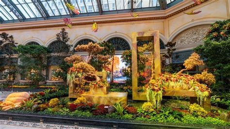 Bellagio Conservatory & Botanical Gardens unveils new fall display