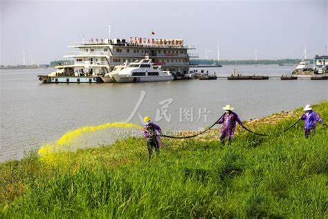 江西湖口：鄱阳湖畔灭螺忙 人民图片网