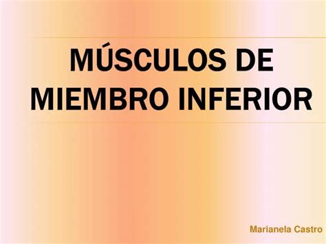 Ppt M Sculos De Miembro Inferior Powerpoint Presentation Free