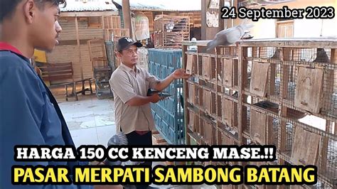 Rekomendasi Bahan Player 150rb An PASAR MERPATI SAMBONG BATANG JAWA