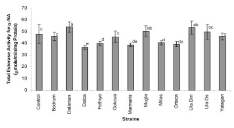 Mean ±sd N 3 Of Total Esterase Enzyme Activities Using α Naphytl