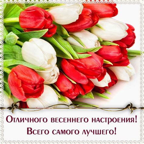Открытка - отличного весеннего настроения, самого лучшего